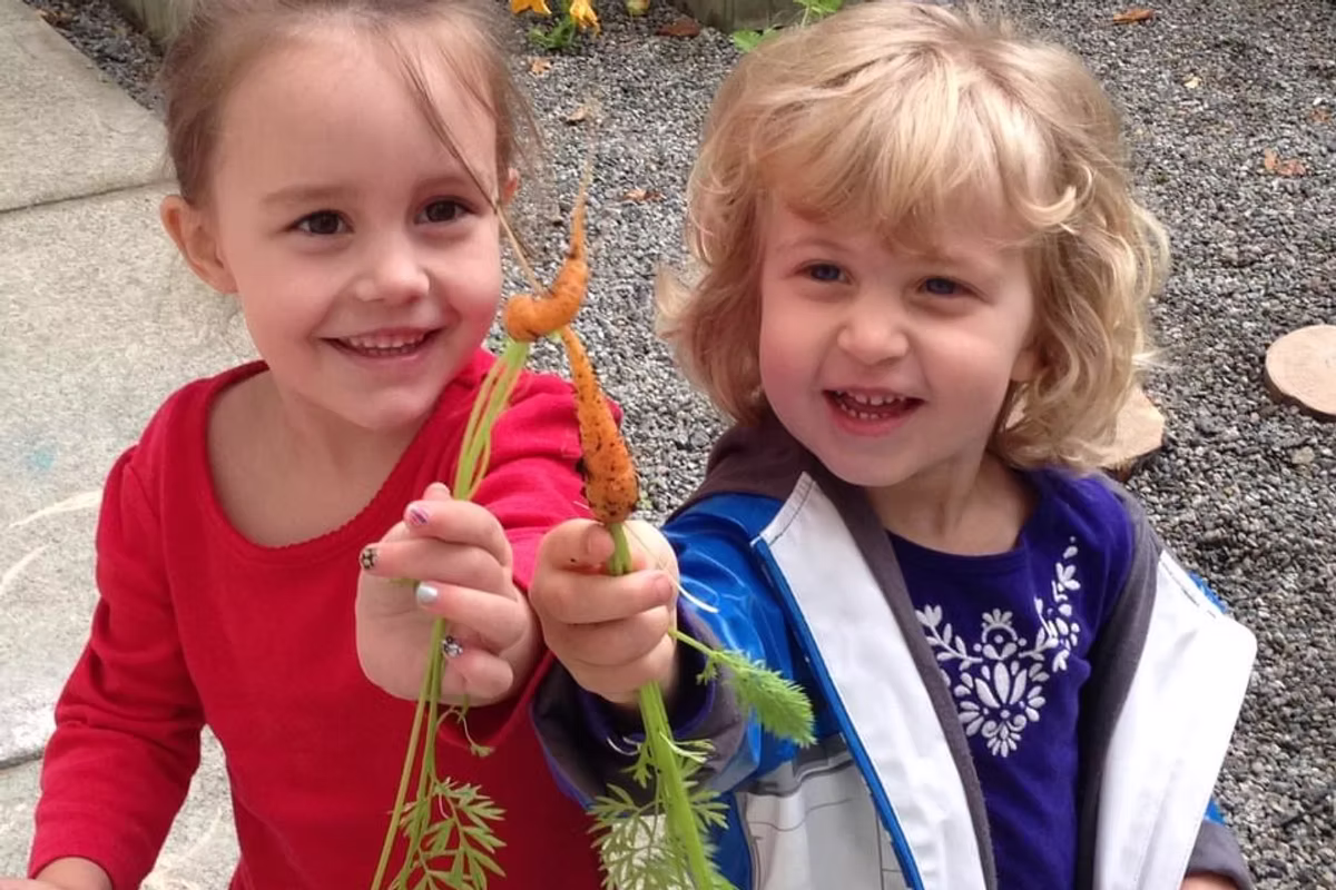 Little Cube Montessori Preschool & Kindergarten