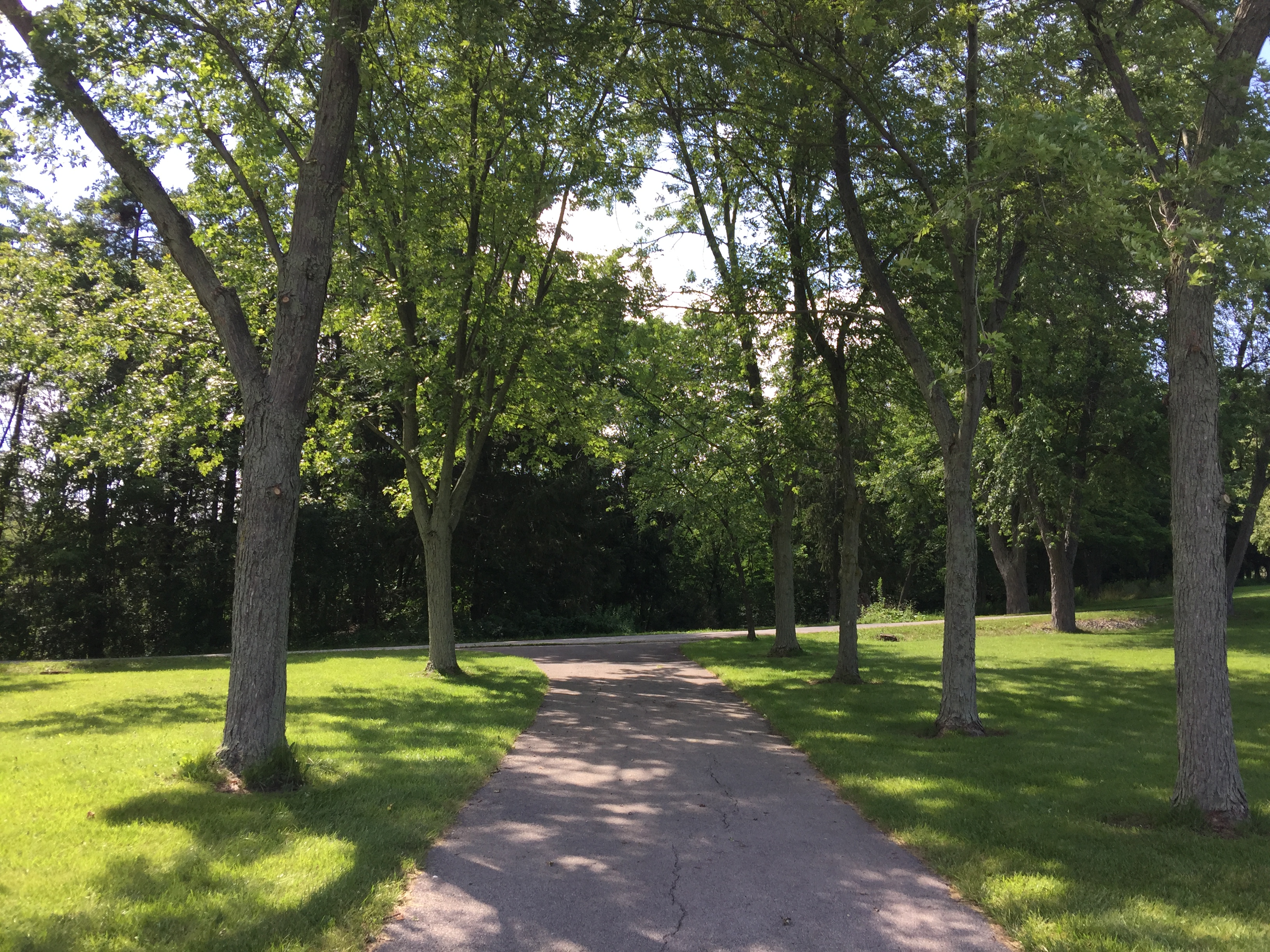 Waterdown Montessori School - Licensed Daycare in Burlington, ON