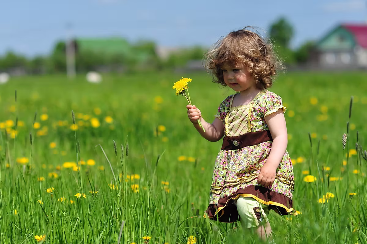 The Kinder Garden - Licensed Daycare in Angus, ON
