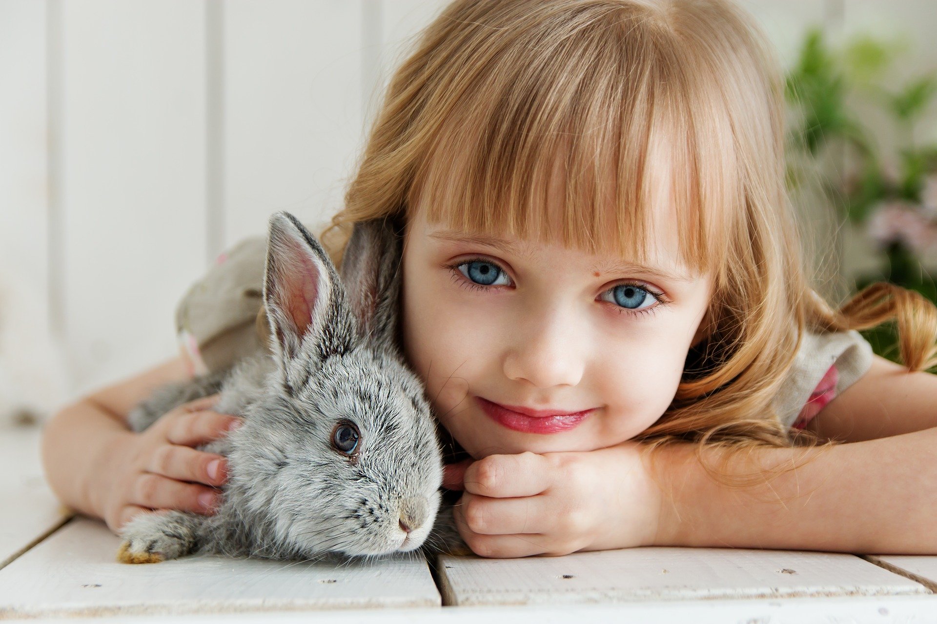 Les Joyeux Dauphins Inc. - Licensed Daycare in Québec, QC