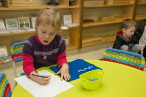 Bluebird Montessori School (Mini)