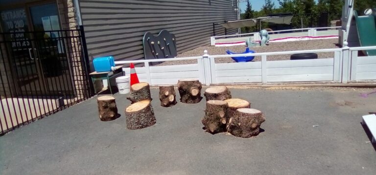 Portland Day Care Centre Ltd - Licensed Daycare in Dartmouth, NS
