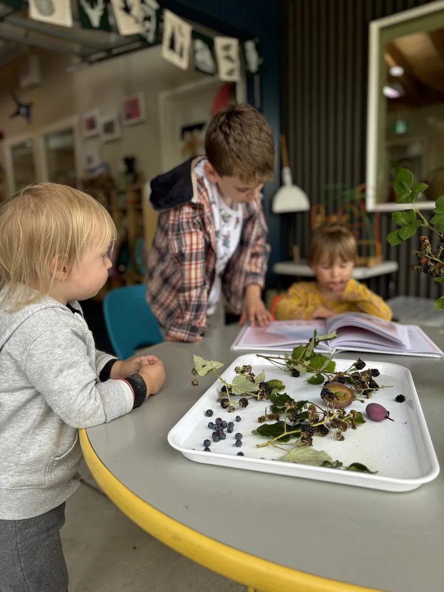 Blackberry Lane Children's Centre - Licensed Daycare in Denman Island, BC