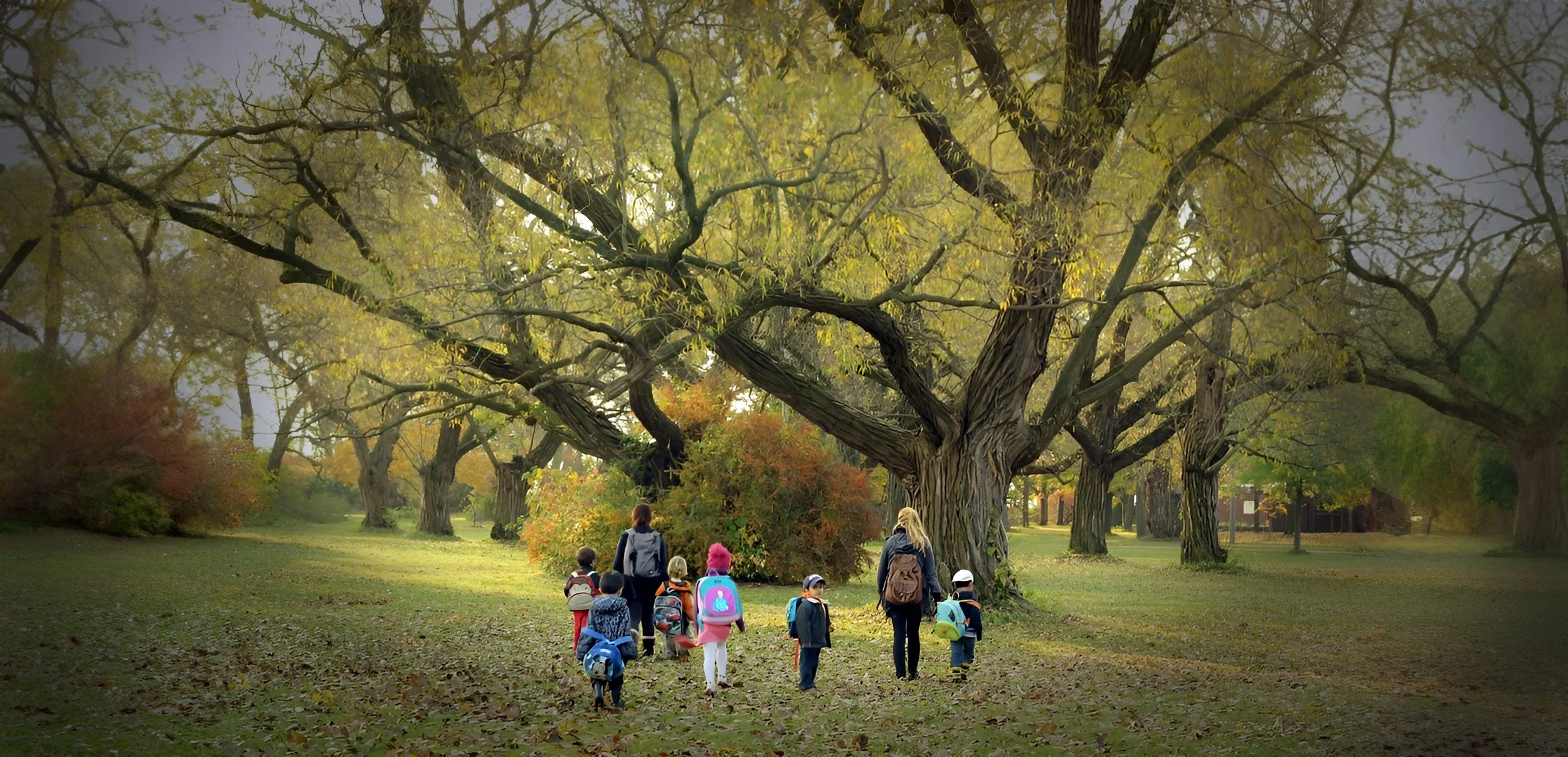 Waterfront Montessori Childrens Centre, Toronto