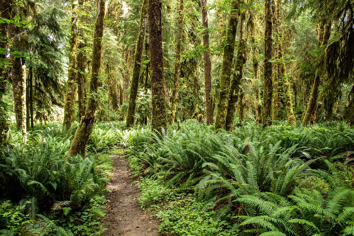 Langley Forest School - Licensed Daycare in Langley, BC