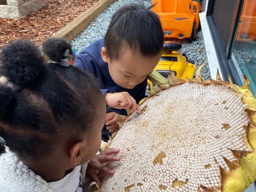 Grandview Montessori School