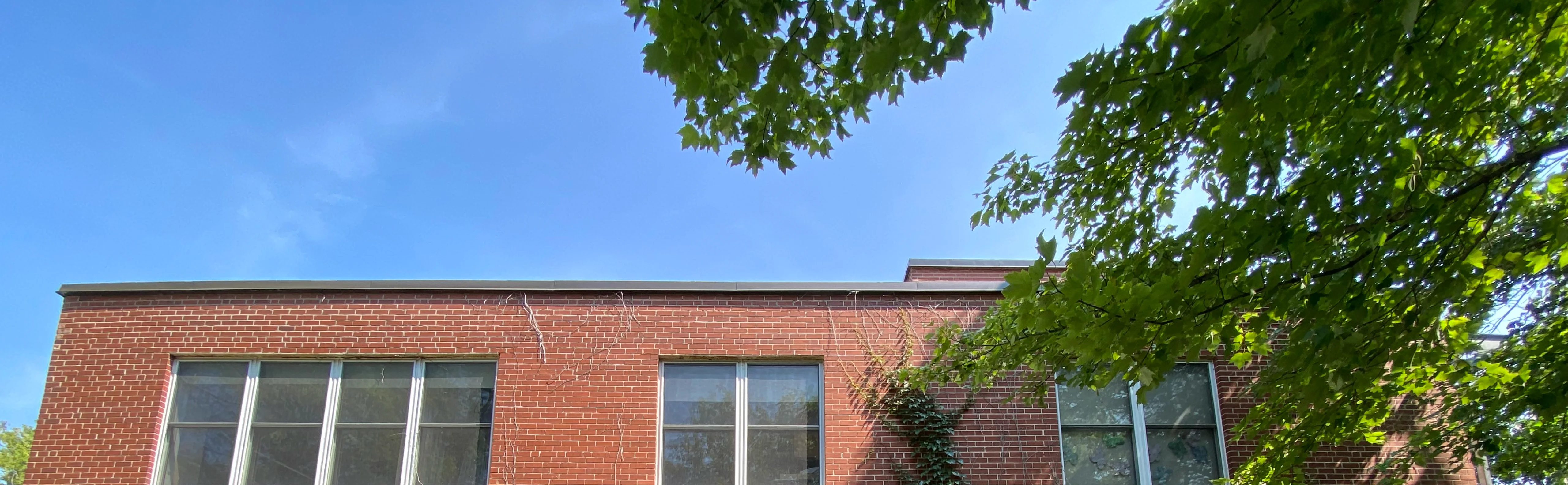 Centre de la Petite Enfance Terre des Enfants Inc. - Licensed Daycare in Westmount, QC