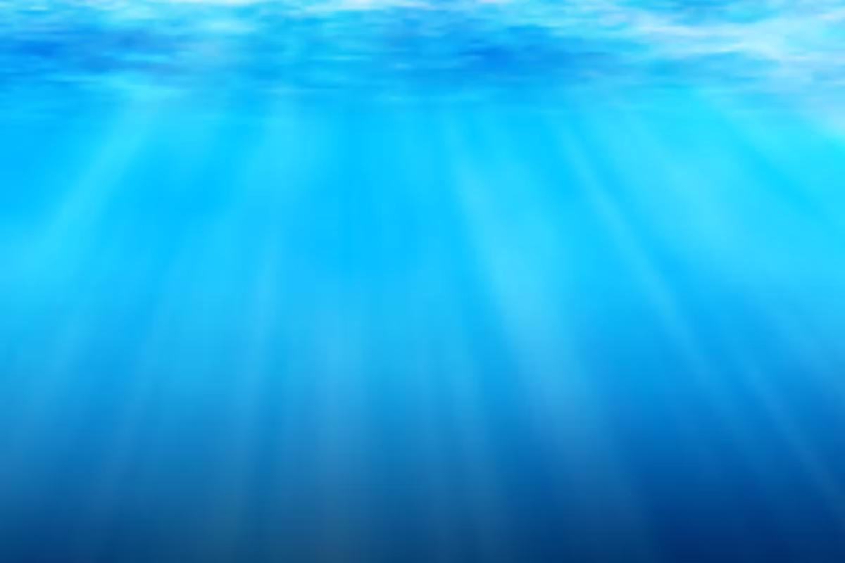 Dolphin Tale Child Care Ltd. - Licensed Daycare in Ottawa, ON