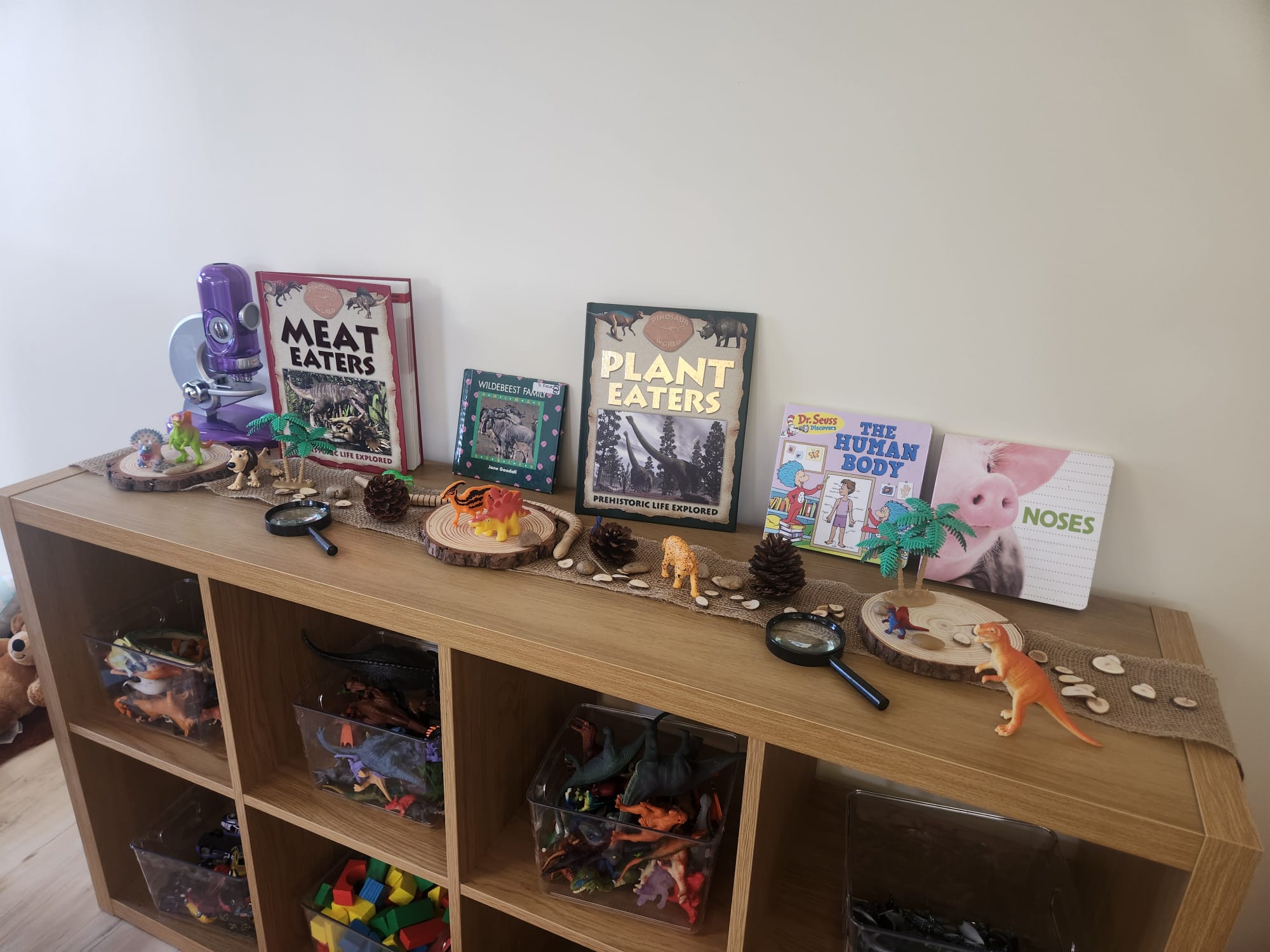 Aa Future Leaders Daycare and Learning Center, Calgary