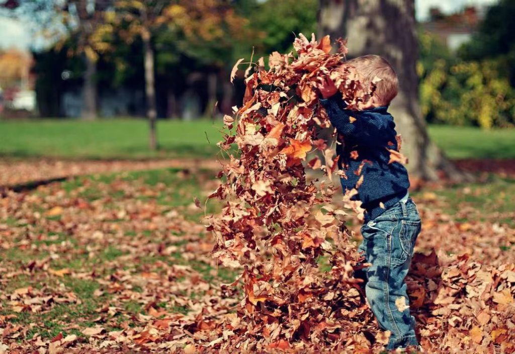 Royal Academy - Licensed Daycare in Pitt Meadows, BC