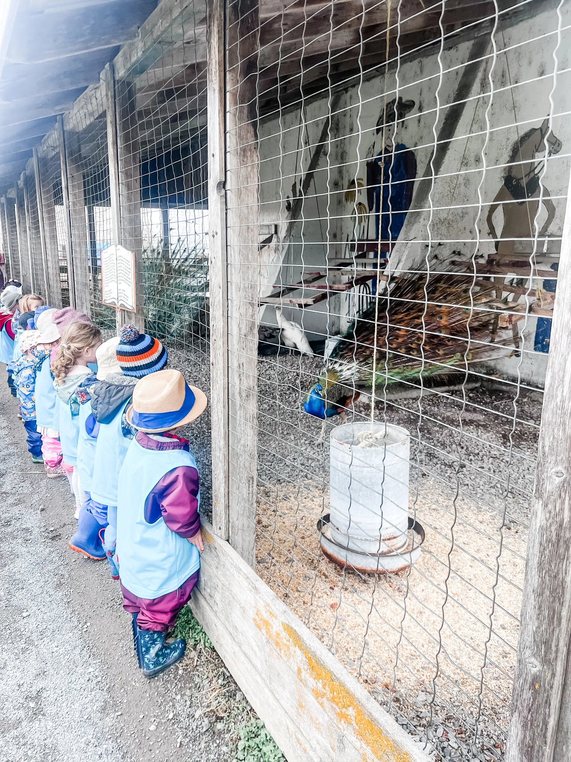 The Friendly Nest Childcare Centre, Kanata