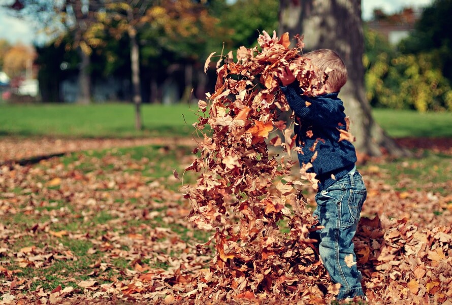 Grand Avenue Montessori School - 600 - Licensed Daycare in Etobicoke, ON