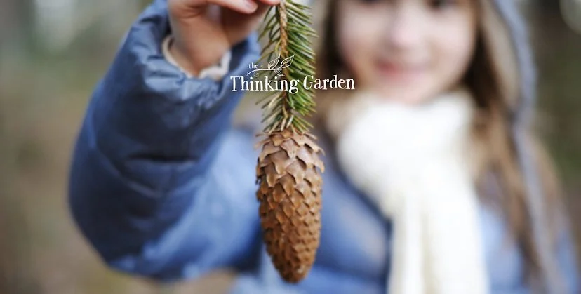 The Thinking Garden Nanoose - Licensed Daycare in Nanoose Bay, BC