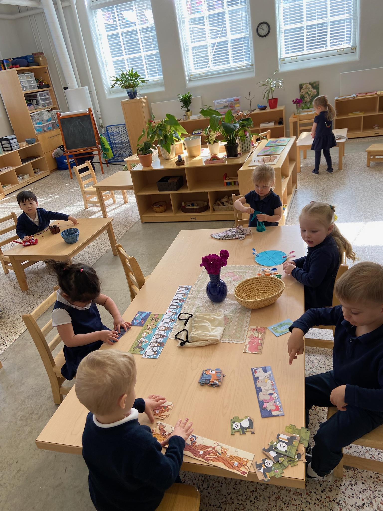 Maria Montessori Education Centre of Calgary Ltd., Calgary