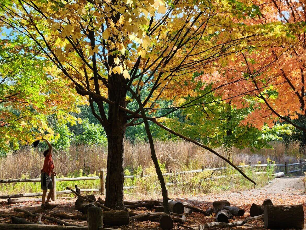 Tamarack West Outdoor School