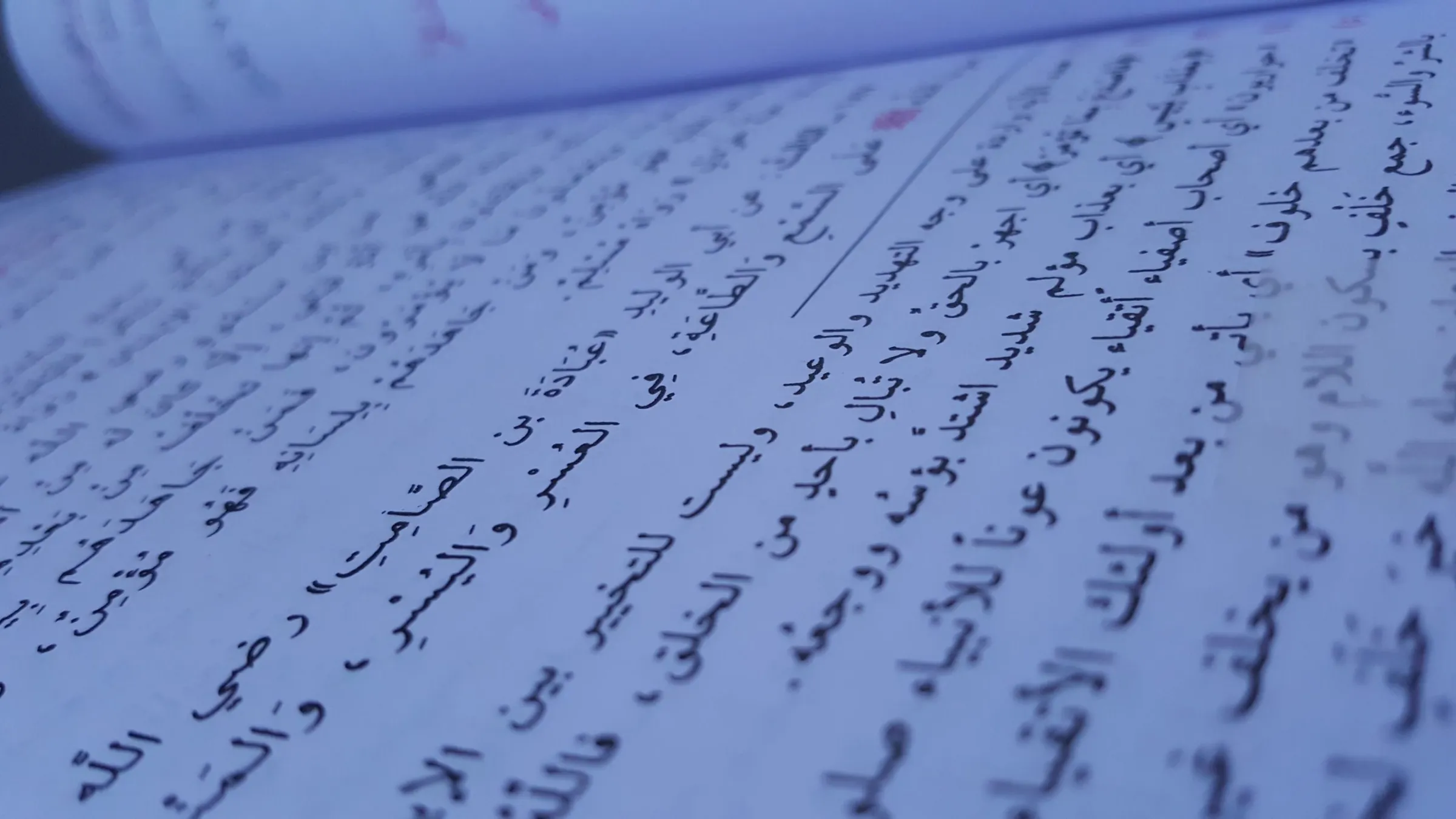 Al-Qasim Academy