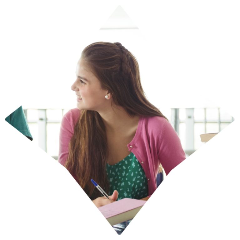 Mindview Academy