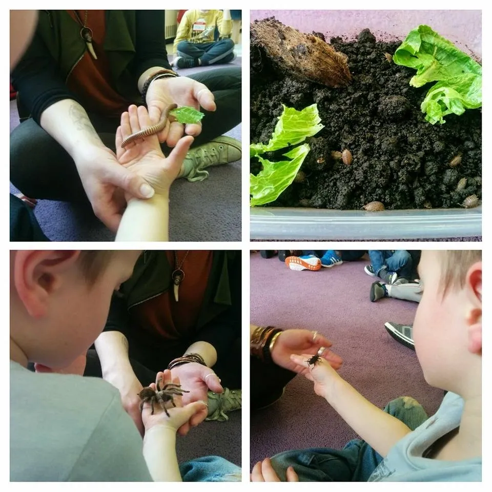 Strathcona Nursery School, Edmonton
