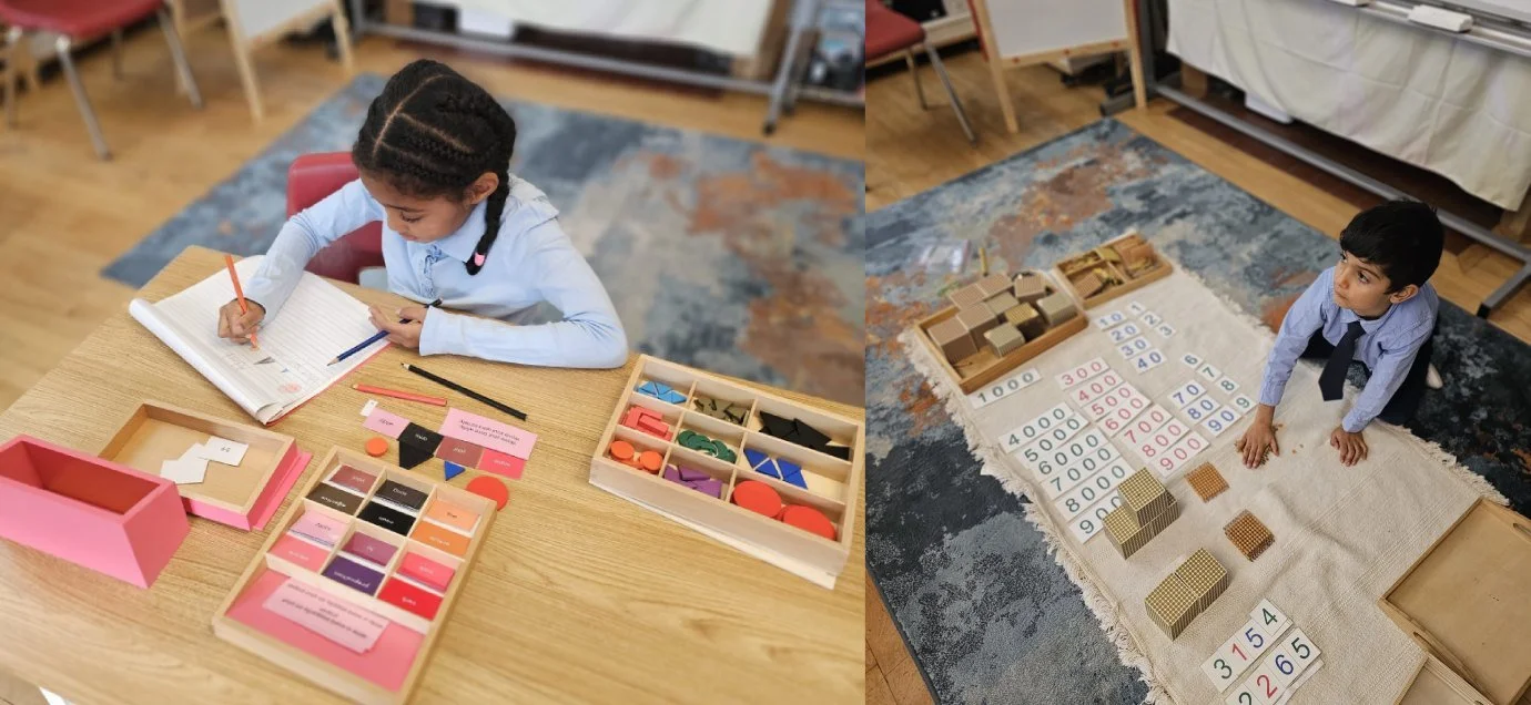 Alive Montessori & Private School