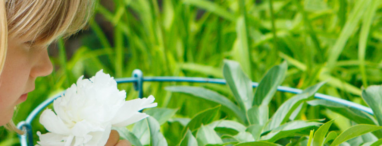 Tanglewood School - Licensed Daycare in Oakville, ON