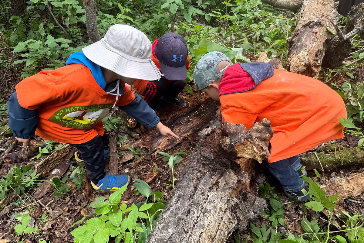 Nature Wanderers Childcare, Edmonton
