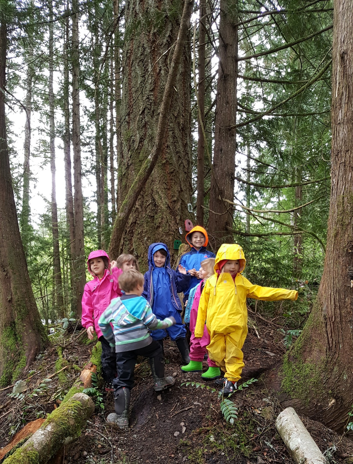 Shawnigan Lake Montessori Child Care - Licensed Daycare in Shawnigan Lake, BC