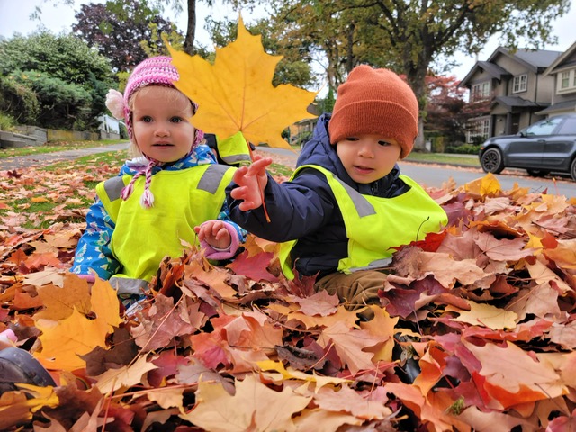 Bright Owlets Childcare And Learning Centre 4 - Licensed Daycare in Vancouver, BC