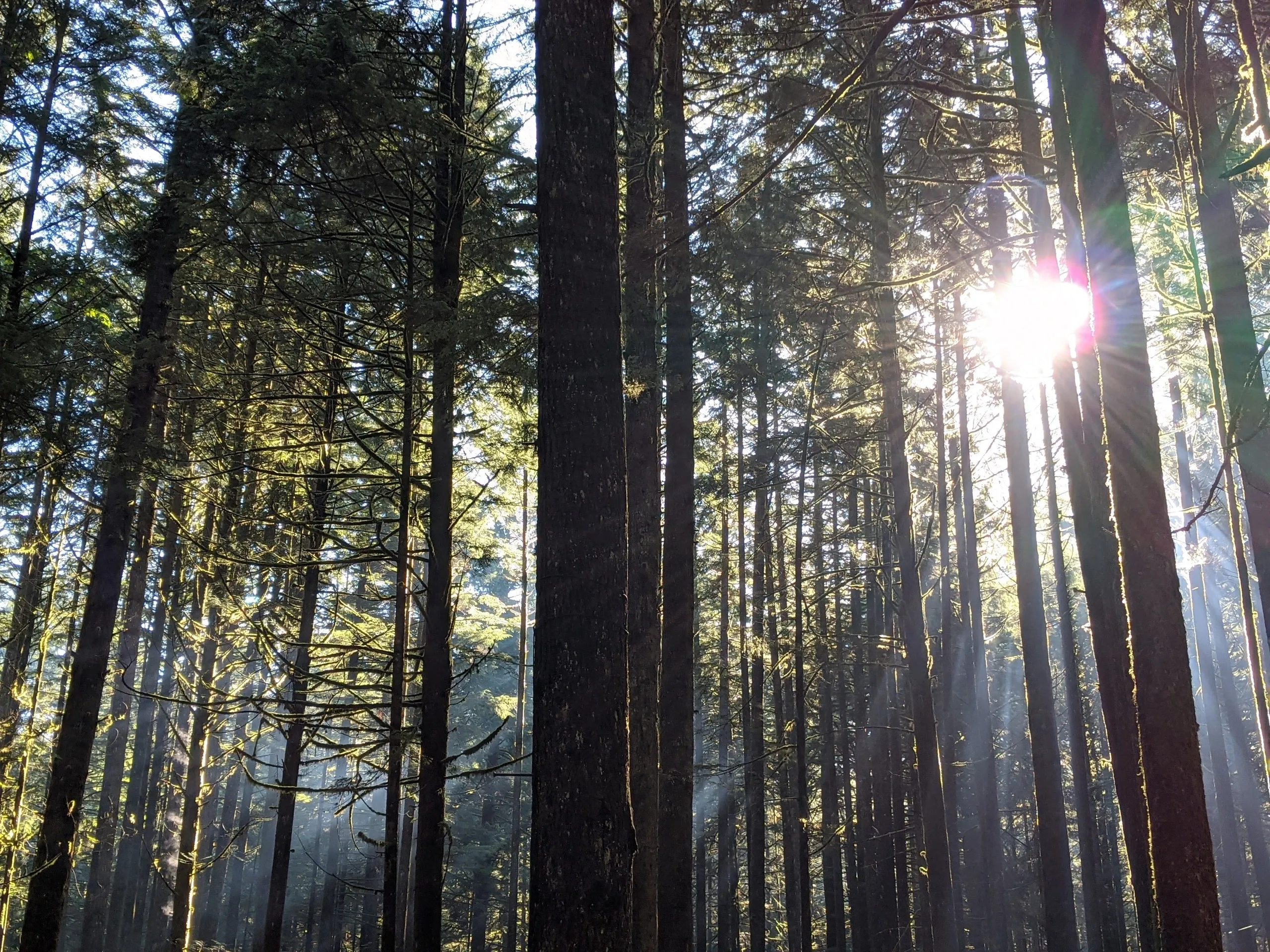 Creative Trails Preschool, Maple Ridge