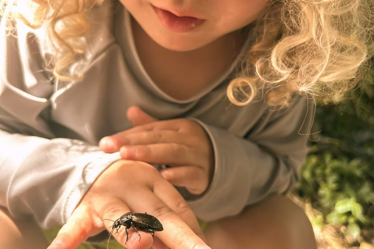 West Coast Early Learning Centre - Licensed Daycare in Surrey, BC