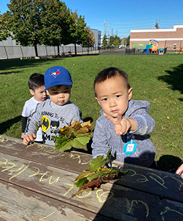 Trillium School