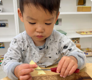 Manor Montessori School