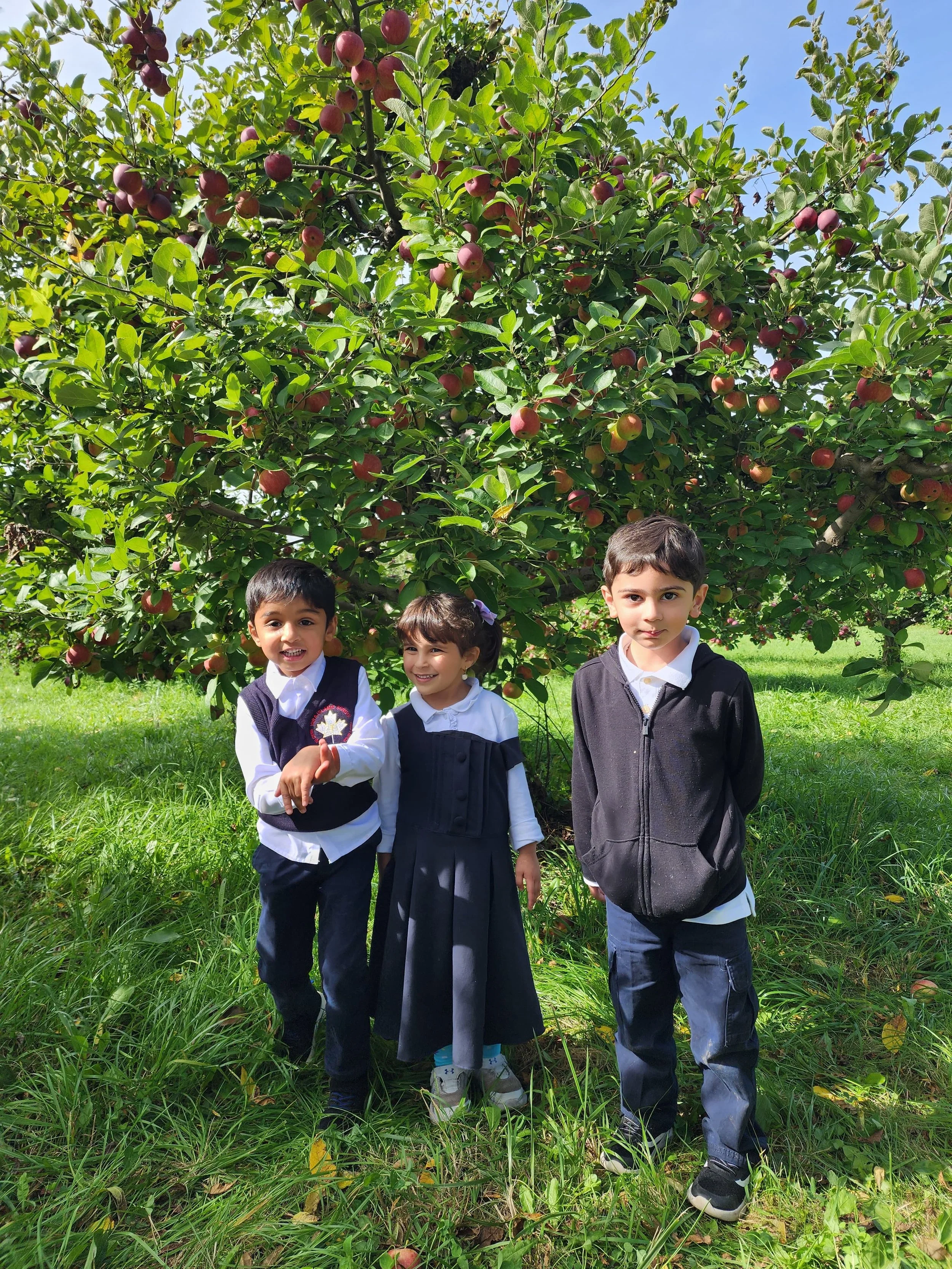 IQRA Islamic School
