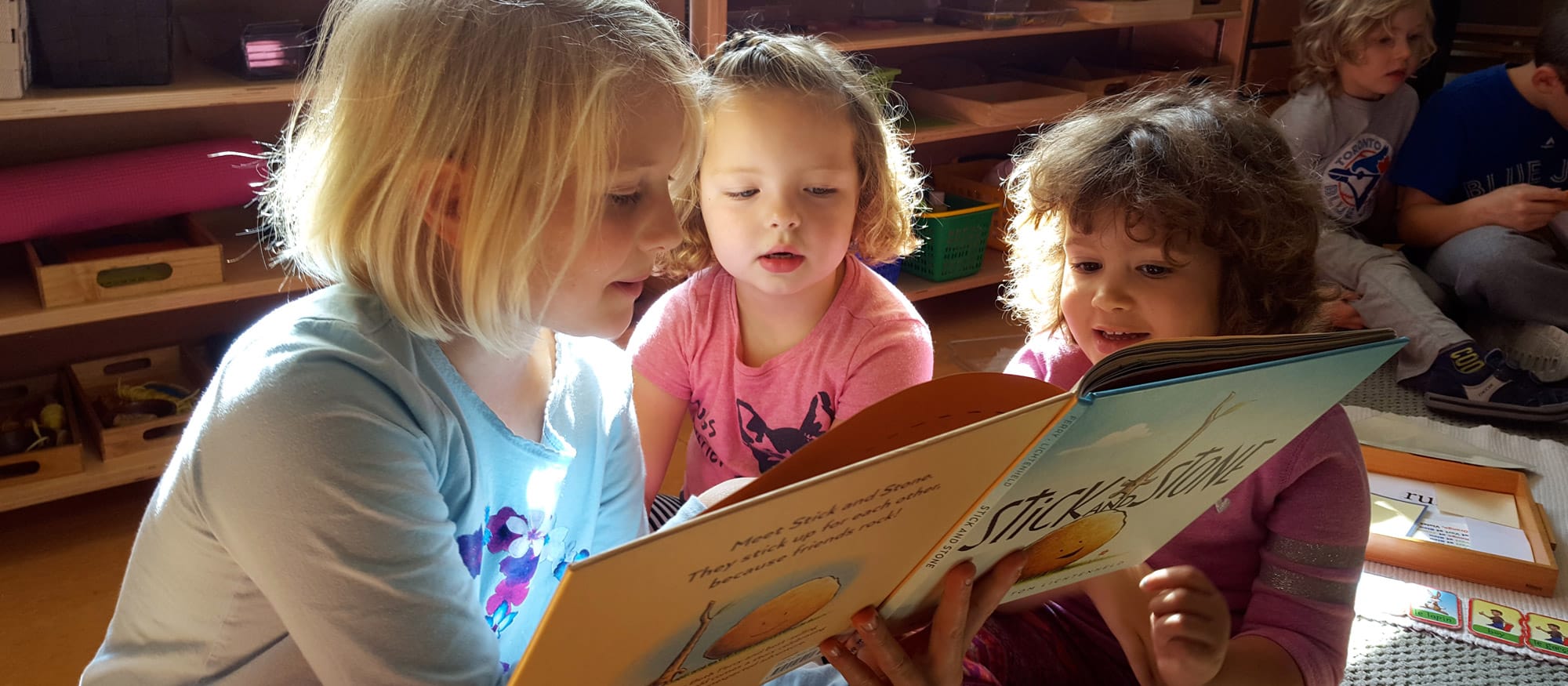 Kew Park Montessori Day School
