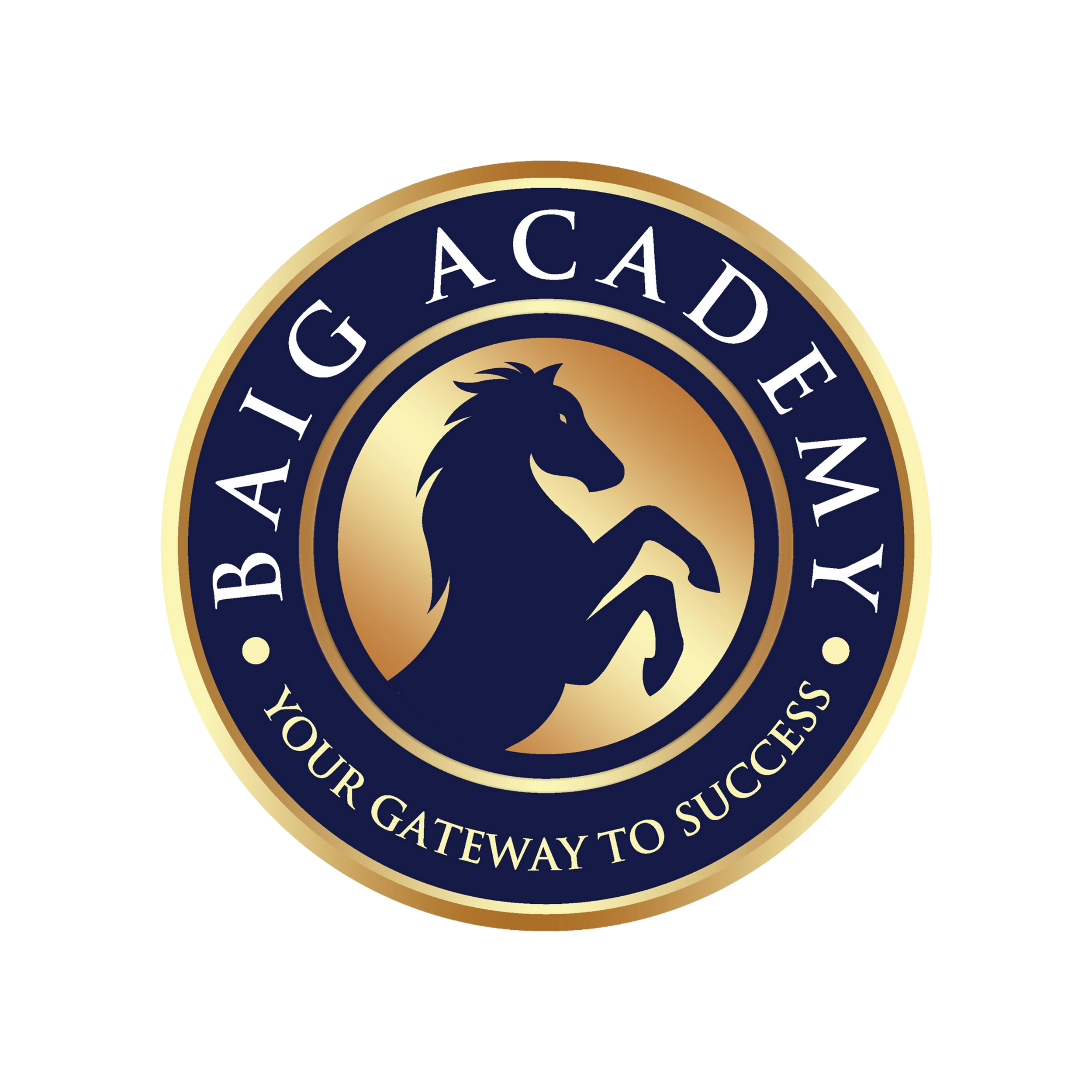 Baig Academy