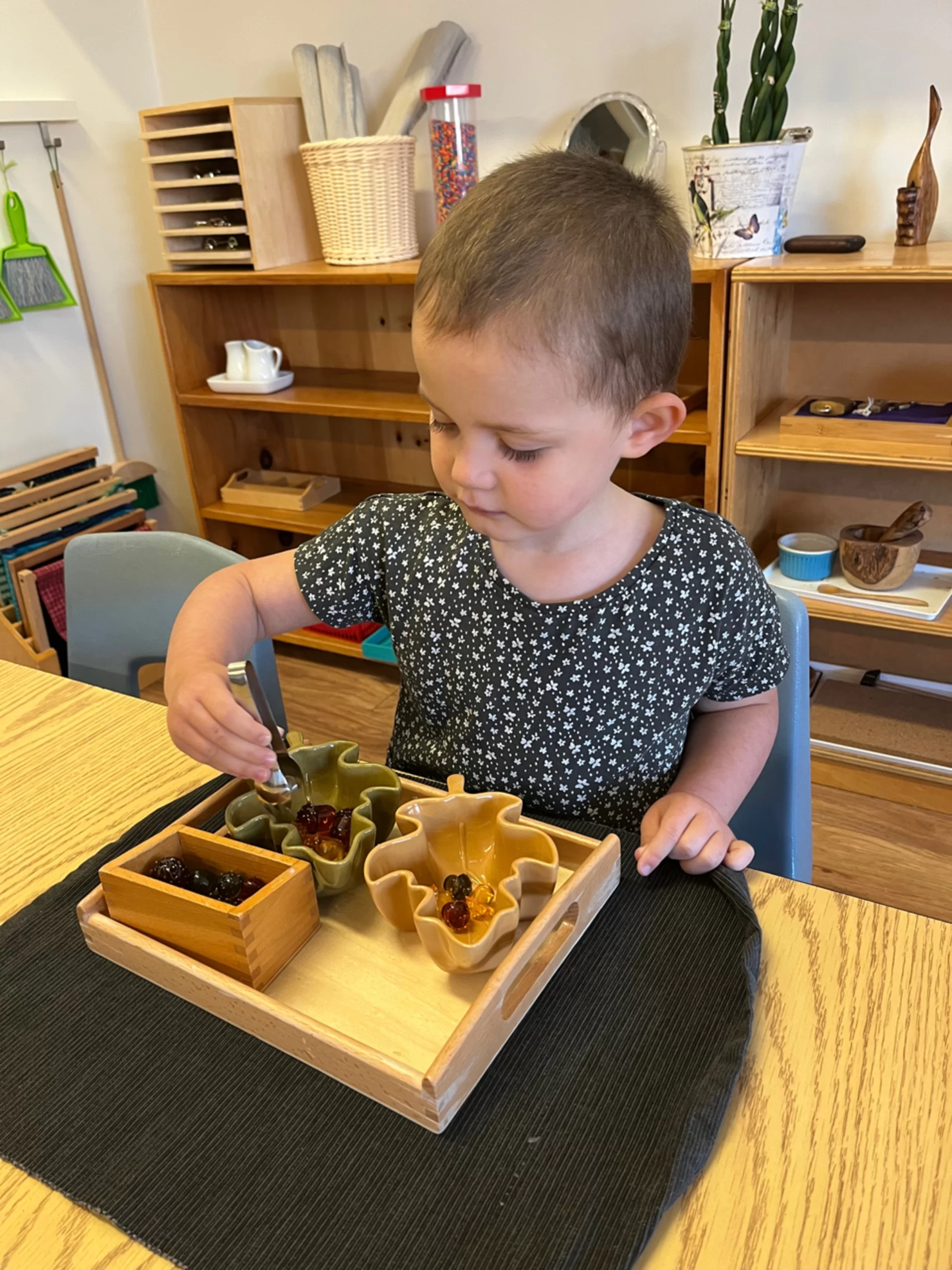 Boardwalk Montessori School Inc., Toronto