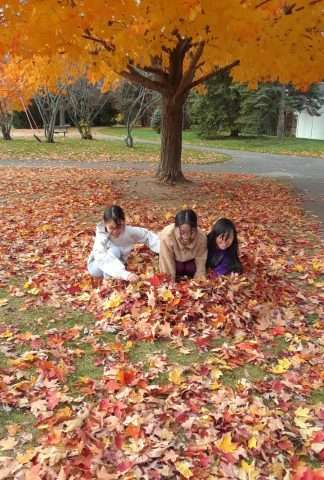 Trillium School Age Program - Licensed Daycare in Orléans, ON