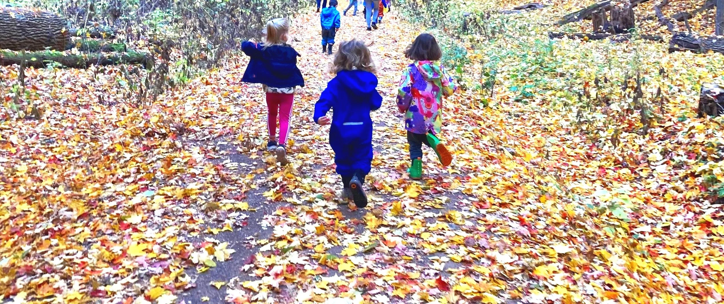 Westdale Nature School Ltd., Hamilton
