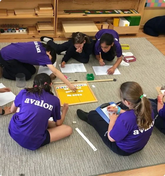 Avalon Children'S Montessori School, Toronto