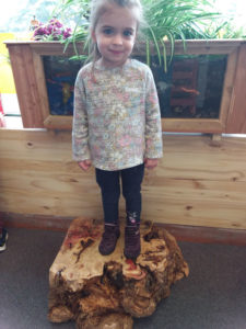 Promised Future Nursery - Licensed Daycare in Woodbridge, ON