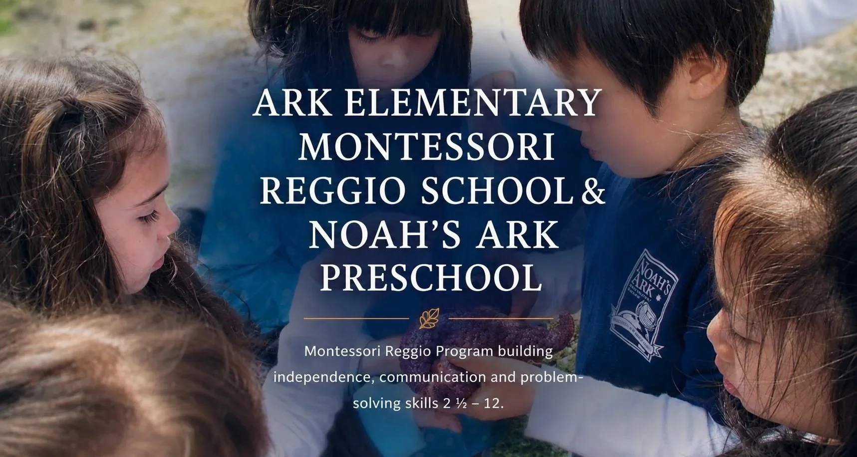 Ark Elementary Montessori Reggio School