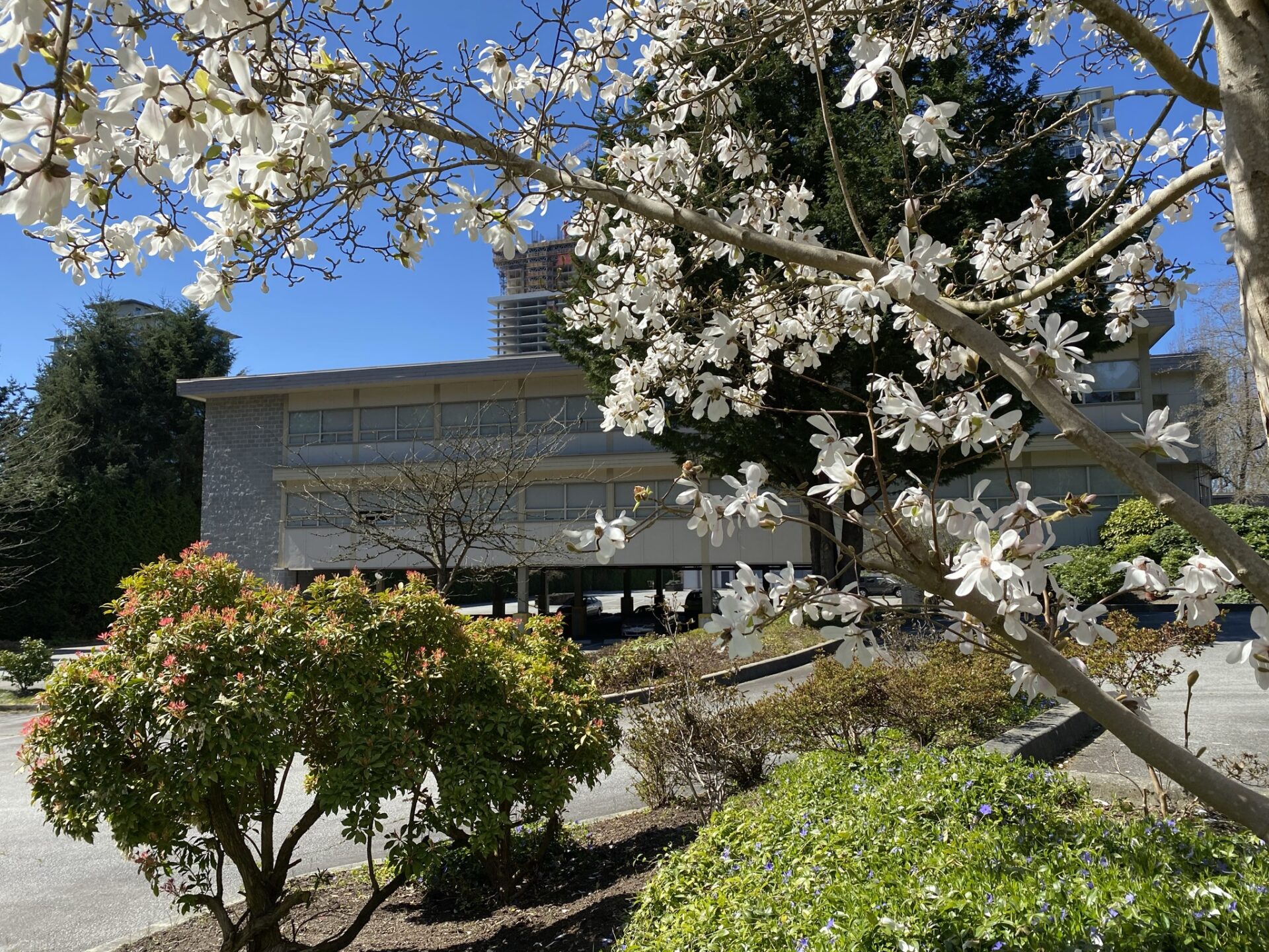 Coquitlam College - Brookmere Secondary