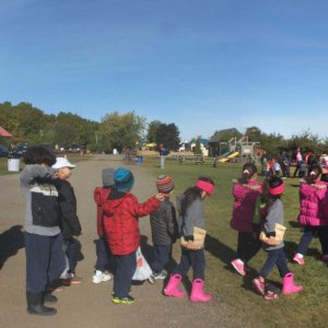 École Montessori Ville-Marie