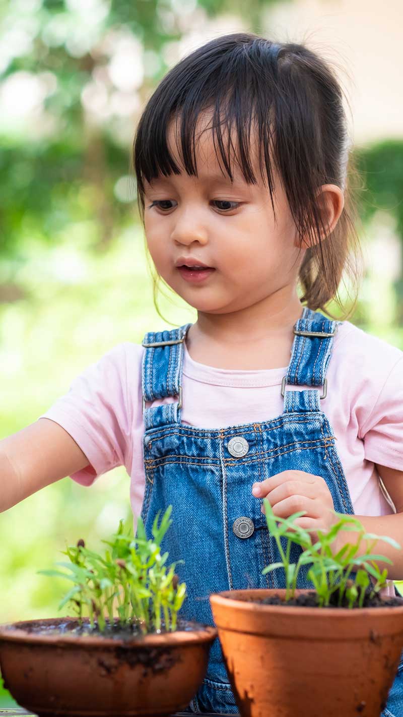 Organic Early Learning (Satellite), Burnaby