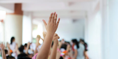 Madison Montessori Academy - Licensed Daycare in Kemptville, ON