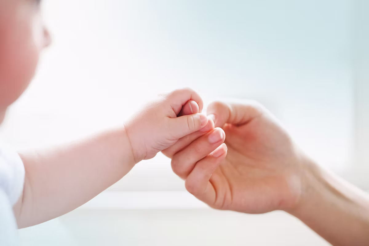 Northview Day Care And Nursery School - Licensed Daycare in Peterborough, ON