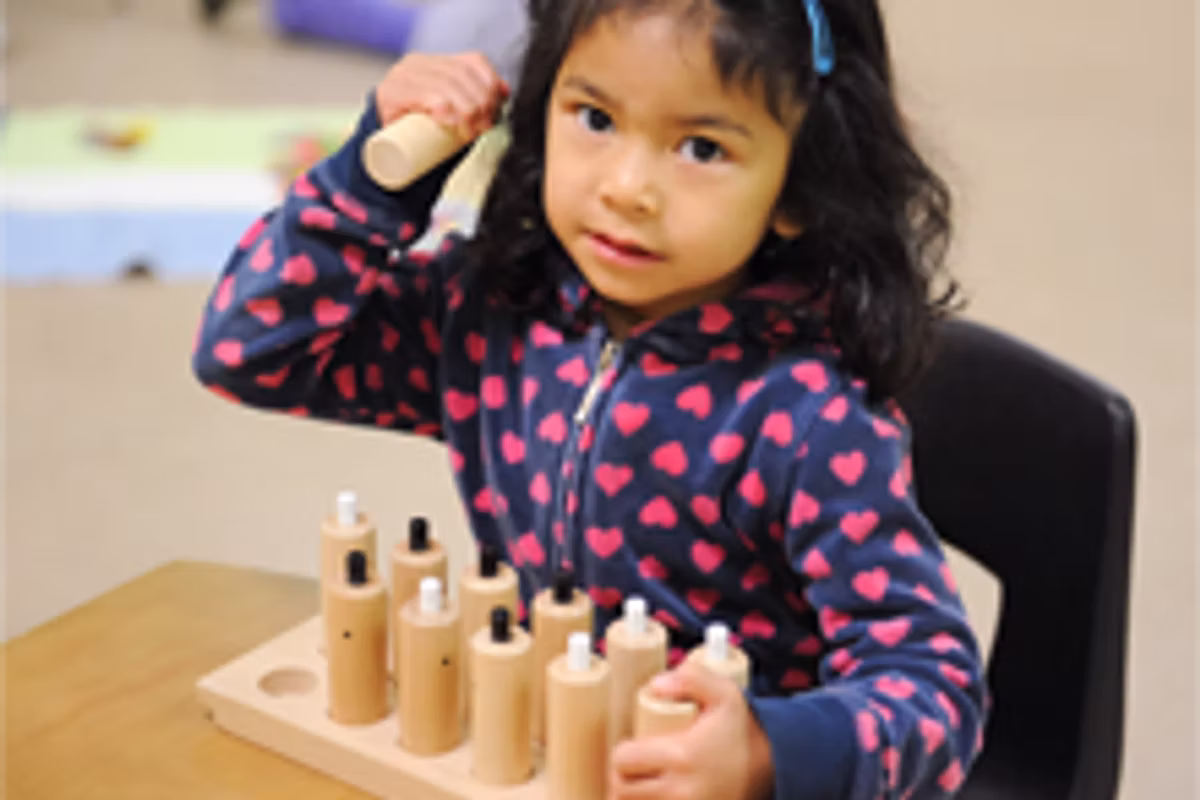 Annex Montessori School, Toronto