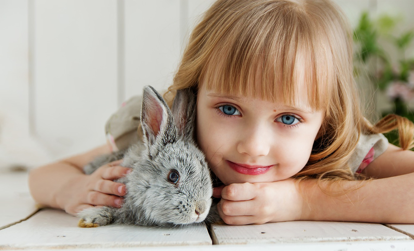 Honey Bunny Daycare, licensed daycare in North Vancouver, BC