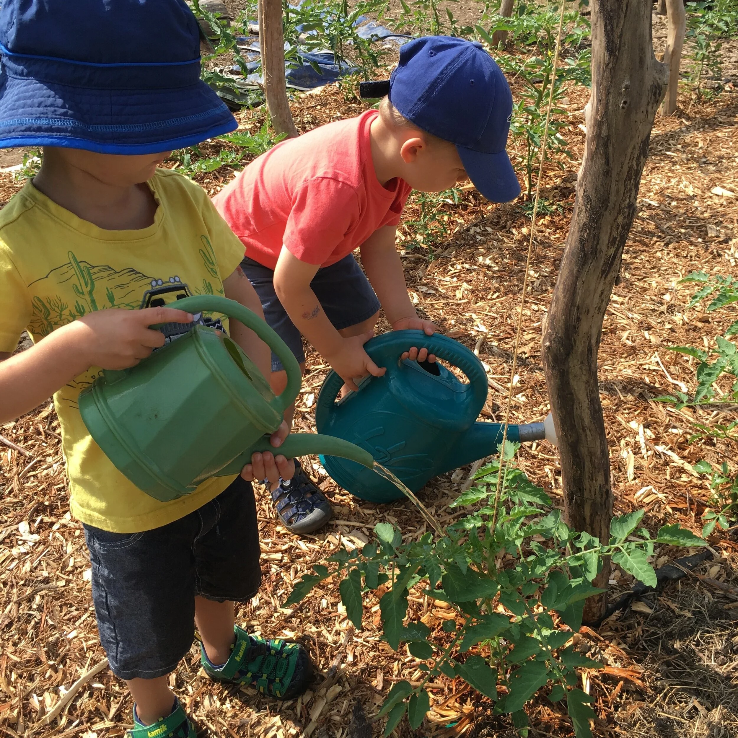 Guelph Outdoor Preschool, North 44 Academy, Guelph