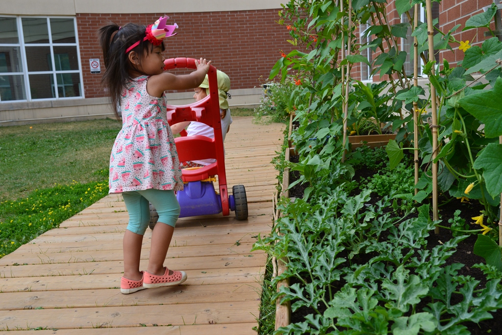 Early Blooms Montessori - Licensed Daycare in Markham, ON