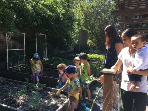 Hobbit Hill Children's Centre - Licensed Daycare in Castlegar, BC